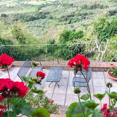 Tenuta Di Montemassi Fattoria Екстериор снимка